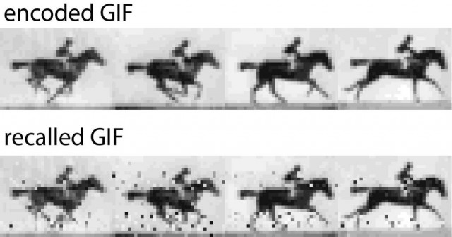 Who Needs Hard Drives? Scientists Store Film Clip in DNA